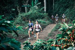 BIB: 
                            <button type="button" onclick="openModal(25793625)" class="btn btn-primary btn-sm float-right btn-popup" data-toggle="modal" data-target=".modal-high-quality">
                        <i class="fas fa-shopping-cart"></i> Add to Cart
                    </button>
                                            <button type="button" onclick="isThisMe(25793625, true)" class="btn btn-success btn-sm float-right btn-popup btn-isme hidden" data-toggle="tooltip" data-placement="bottom" title="นี่คือรูปของคุณใช่ไหม คลิกที่นี่เพื่อเอาเข้าอัลบั้ม">
                        <i class="fas fa-plus"></i> Add to album
                    </button>
                    <button type="button" onclick="isThisMe(25793625, false)" class="btn btn-warning btn-sm float-right btn-popup btn-isnotme hidden">
                        <i class="fas fa-ban"></i> Remove from album
                    </button>